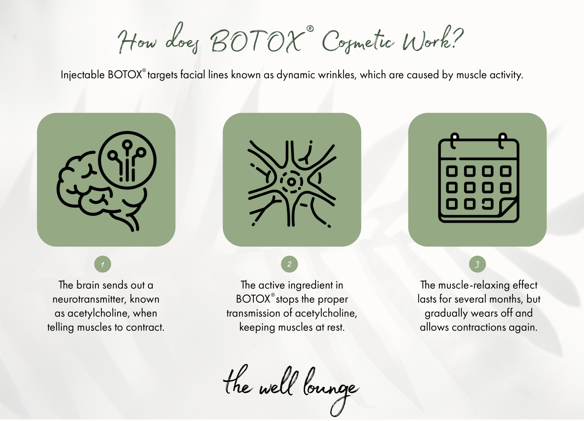 Learn how BOTOX® Cosmetic works at Newtown, PA's The Well Lounge.